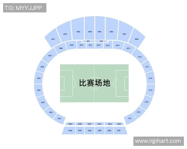 南京足球队在钻石联赛积分榜上以51分稳居第一位置展现强劲实力